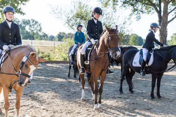 Bild 148 - Pony Akademie Turnier